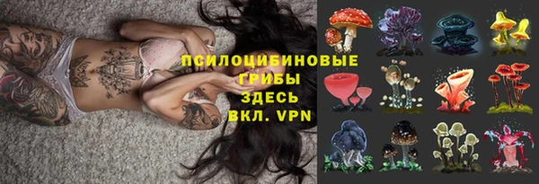 винт Абинск
